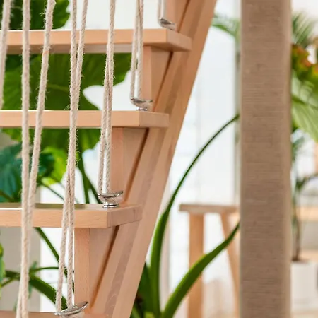 Ixchel House By Sunkeyrents * 厄尔梅达诺